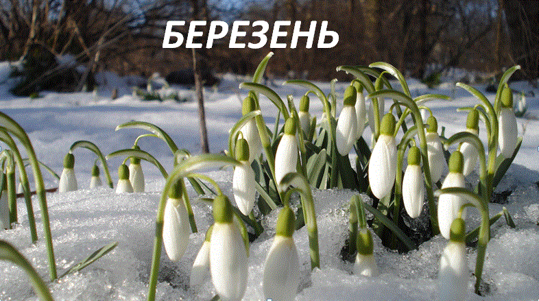 /Files/images/Снимокрр.gif
