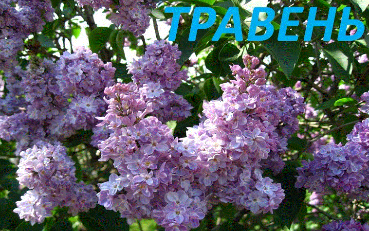 /Files/images/Снимок.gif