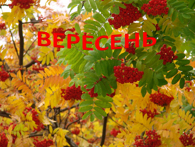 /Files/images/вересень.gif