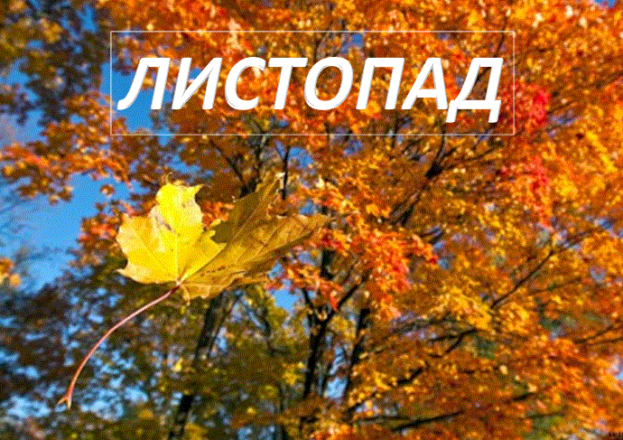 /Files/images/листопад.gif