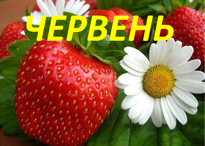 /Files/images/червень.gif